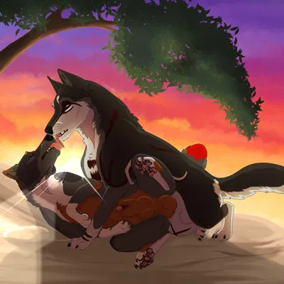 bandit (faolanwolfsavor), khaze (yipsky) created by unbreakable-warrior