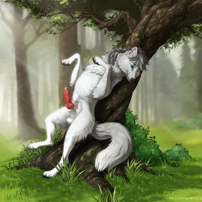 bayard zylos created by rastamankus