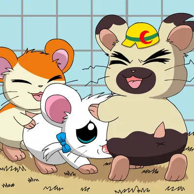 bijou (hamtaro), boss (hamtaro), hamtaro (hamtaro (series)) created by pichu90