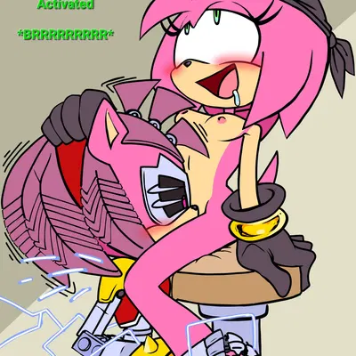 black rose (sonic), rusty rose (netflix, sega) created by randomguy999