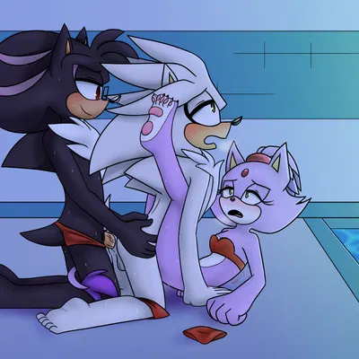 blaze the cat, fan character, silver the hedgehog (sega, sonic the hedgehog (series)) created by gottagoblast
