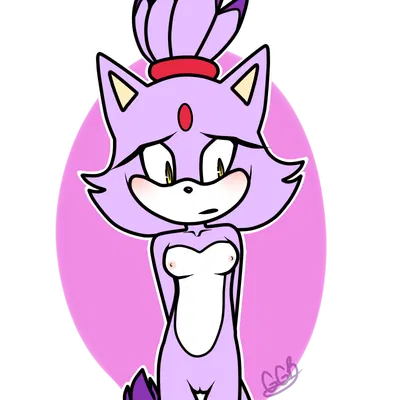 blaze the cat (sega, sonic the hedgehog (series)) created by gottagoblast