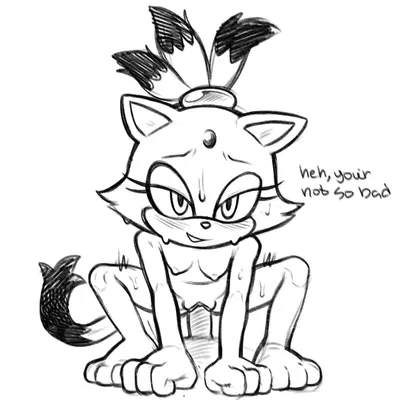 blaze the cat (sega, sonic the hedgehog (series)) created by imposterpuss