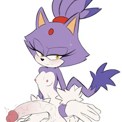 blaze the cat (sega, sonic the hedgehog (series)) created by zahoggu