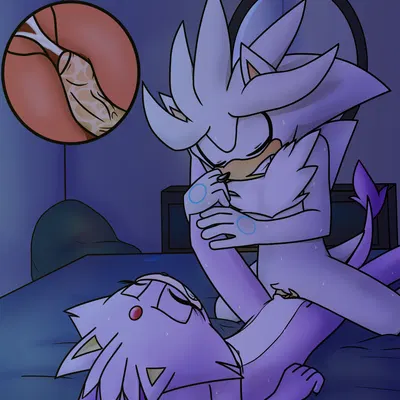 blaze the cat, silver the hedgehog (sega, sonic the hedgehog (series)) created by gottagoblast