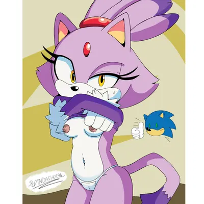 blaze the cat, sonic the hedgehog (sega, sonic the hedgehog (series)) created by spindasher98