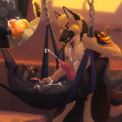 blitz (gshep), decker (deckershepherd) created by kinsheph