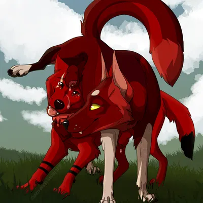 bloodpelt, fremder created by unbreakable-warrior