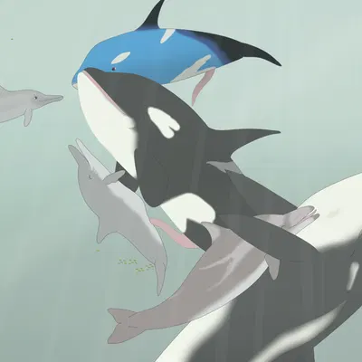 cheiss, chlurx, dosfin created by virp3