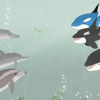 cheiss, chlurx, dosfin created by virp3