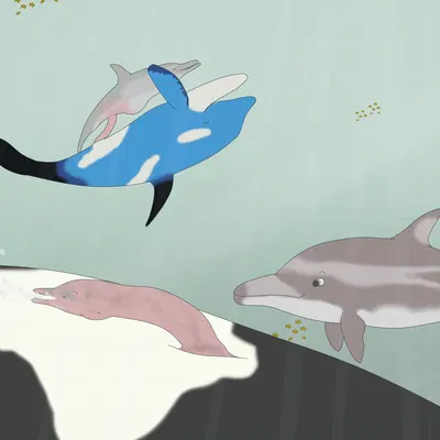 cheiss, chlurx, dosfin created by virp3