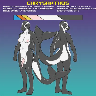 chrysanthos created by dasoka, tokuya