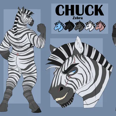 chuck the zebra created by imperatorcaesar