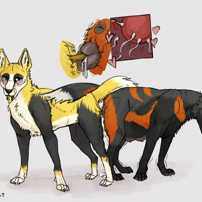 comet (pyrofoxy), pumpkin (fuzetrax) created by kutsiihvost