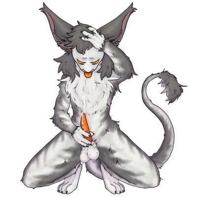 corsac (corsacfox) created by bunnipie