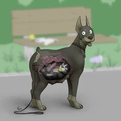 created by causationcorrelation