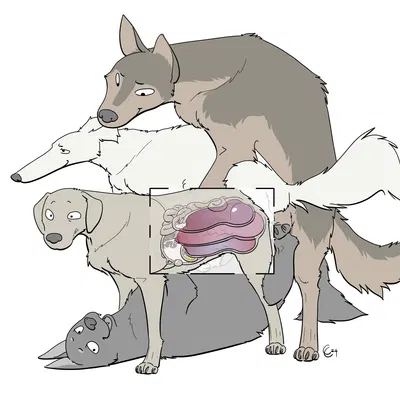 created by causationcorrelation