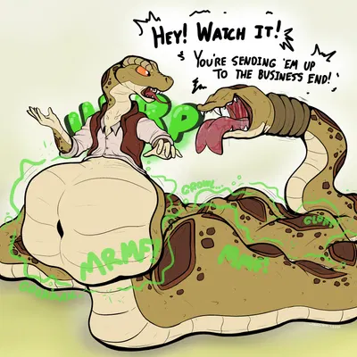 created by fangy boyo