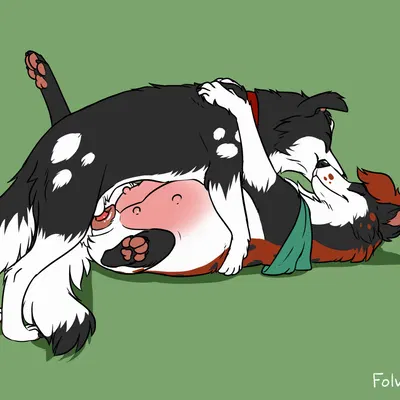 created by folvondusque