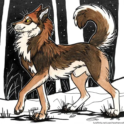 created by heatherwolf