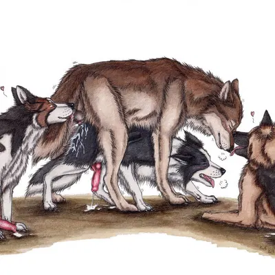 created by kola (artist)