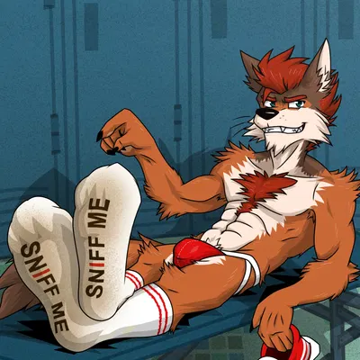 created by lief kishibe