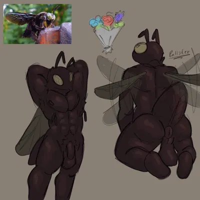 created by palister35