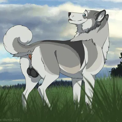 created by unbreakable-warrior