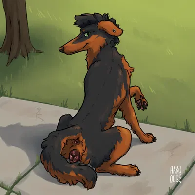 cypress (brozoi) created by hakudoge