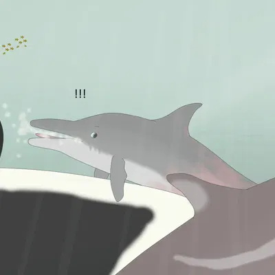 dosfin, drei (dosfin) created by virp3