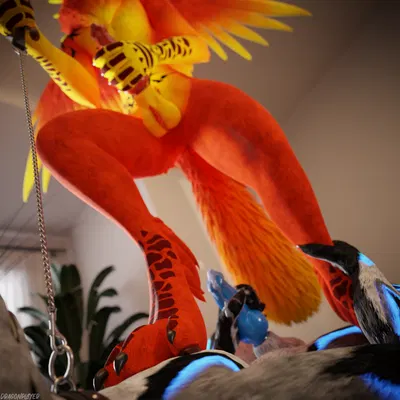 dragonplayer (character), phoenixaiden (mythology) created by dragonplayer