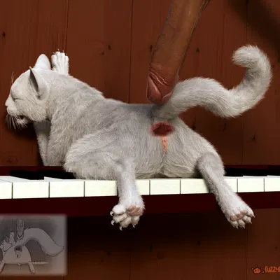 duchess (aristocats) (disney, the aristocats) created by fuzzyfelt, the giant hamster