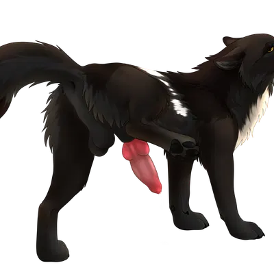 echo (wolffylegend) created by thorn193