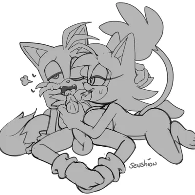 fan character, miles prower, sensh the cat (sega, sonic the hedgehog (series)) created by senshion