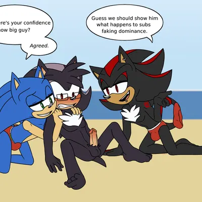 fan character, shadow the hedgehog, sonic the hedgehog (sega, sonic the hedgehog (series)) created by gottagoblast