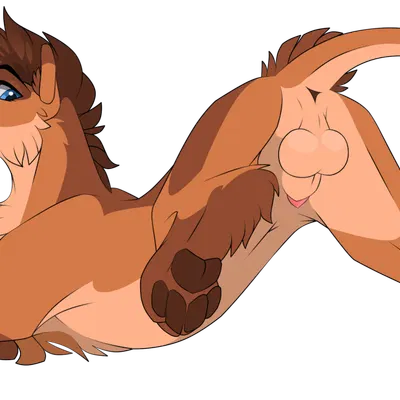 feniar created by gard3r