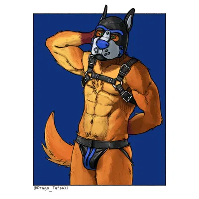 fennix (tomoyami89p) created by drago tatsuki (artist)