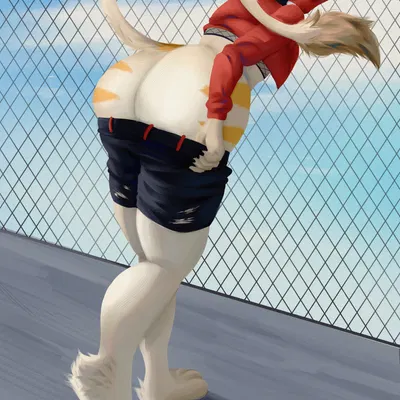 finn (itsjay) created by sheinvc