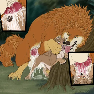 garth (alpha and omega), kate (alpha and omega) (alpha and omega) created by dorosheva-e