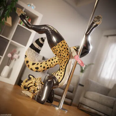 gepardvr created by dragonplayer