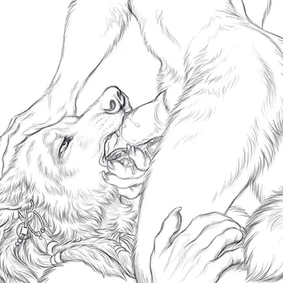 grayson reed, luther denholme (red lantern universe) created by rukis