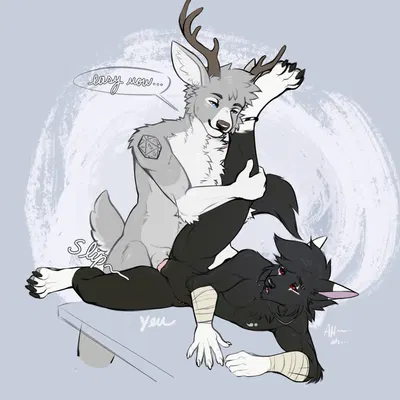 jason shiro, wunder created by rentalgf