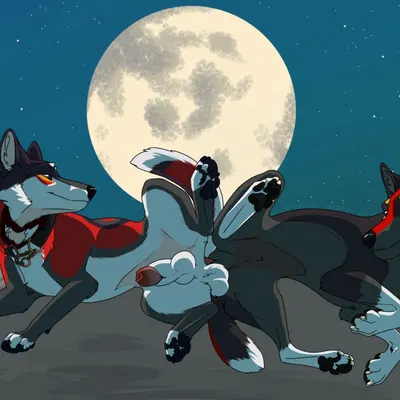 kage (faolanwolfsavor), yipsky created by unbreakable-warrior