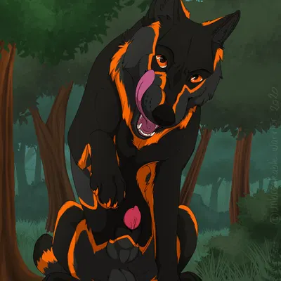 kamots (kamots wolf) created by unbreakable-warrior