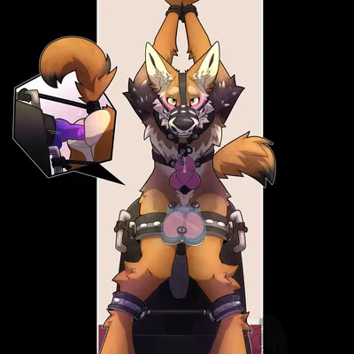 kojote created by yiffy1234