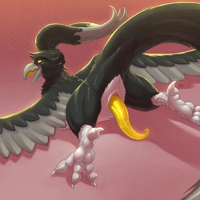 max the fenix (european mythology, greek mythology) created by zock feather