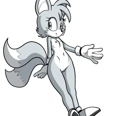 miles prower (sega, sonic the hedgehog (series)) created by fourssss