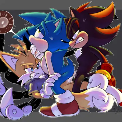 miles prower, shadow the hedgehog, sonic the hedgehog (netflix, sega) created by martyjade23