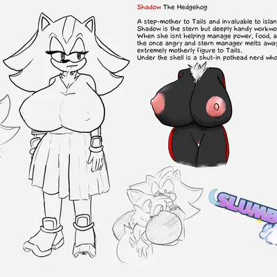 miles prower, shadow the hedgehog, sonic the hedgehog (sega, sonic the hedgehog (series)) created by teztaz