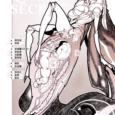 mothra (series), toho created by chiyau